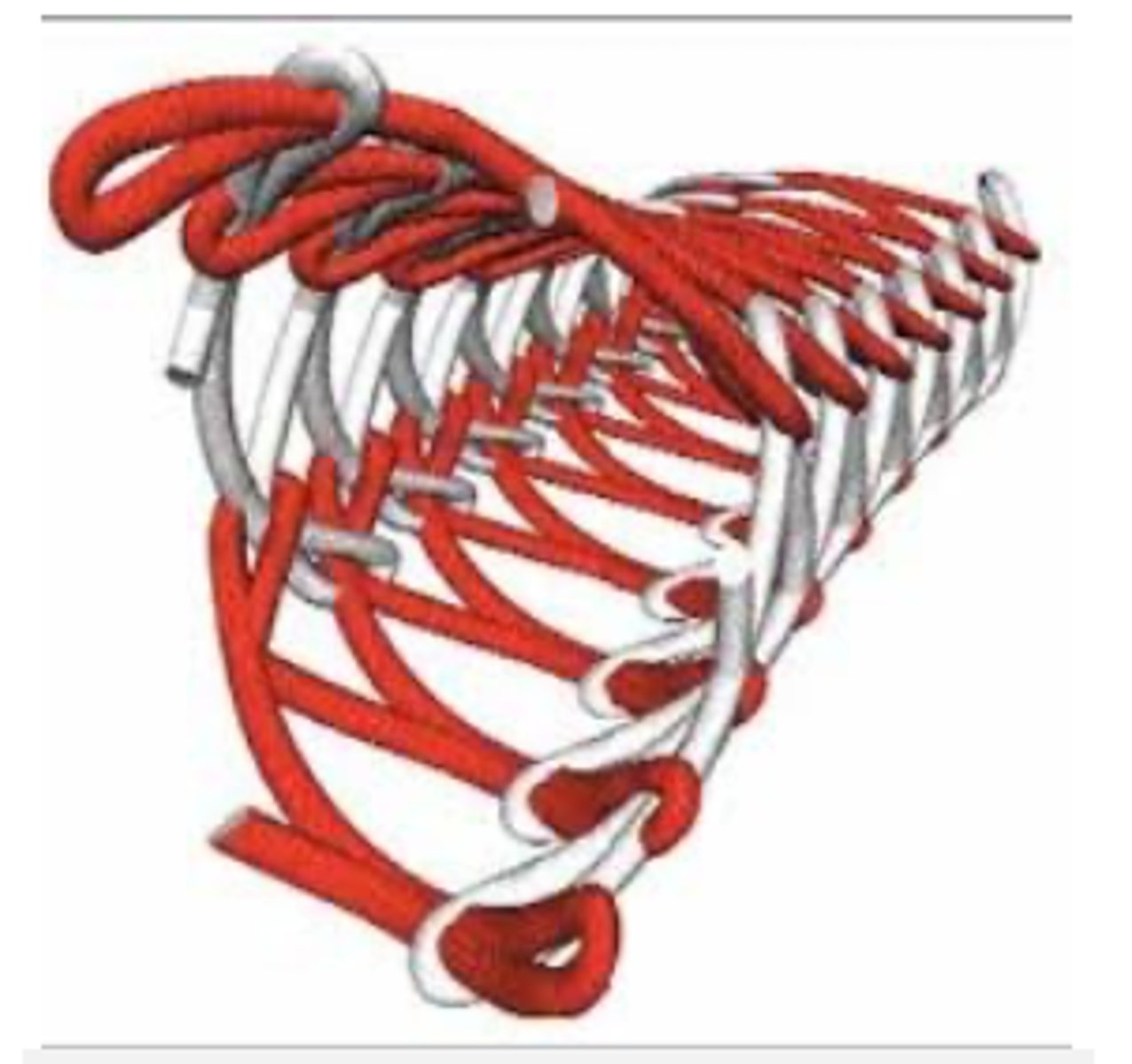 <p>What type of retraction cord?</p>