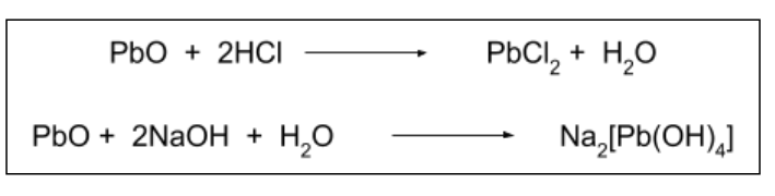 <p>It can act as both an acid and a base.</p>