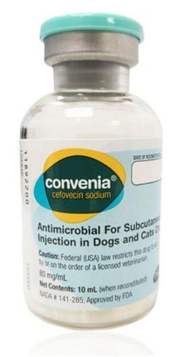 <p>mostly Gram (+)</p><p>Convenia, Cephalexin</p><p>Cefazolin, Clavamox;</p><p>Injection and must be reconstituted;</p>