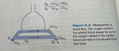 <ul><li><p><span>Can calculate amount of shunt flow when it is caused by the addition of mixed venous blood to blood draining from the capillaries</span></p><ul><li><p><span>Total amount of O2 leaving the system is the total blood flow Q<sub>T</sub> multiplied by the O2 concentration in the arterial blood, CaO2</span></p><ul><li><p><span>This must equal the sum of the amounts of O2 in the shunted blood and end-capillary blood</span></p></li></ul></li></ul></li></ul><p><strong>Q</strong><span><strong><sub>s</sub></strong></span><strong>/Q</strong><span><strong><sub>T</sub></strong></span><strong> = (Cc'O2 - CaO2)/ (Cc'O2 -CvO2)</strong></p><p></p>