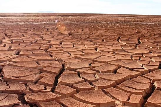 <ul><li><p>monocular cue</p></li><li><p>A gradual change in appearance of objects from coarse to fine. The closer, the clearer the detail. The farther away, the smoother/less detailed </p></li></ul><p></p>