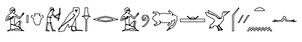 term image
