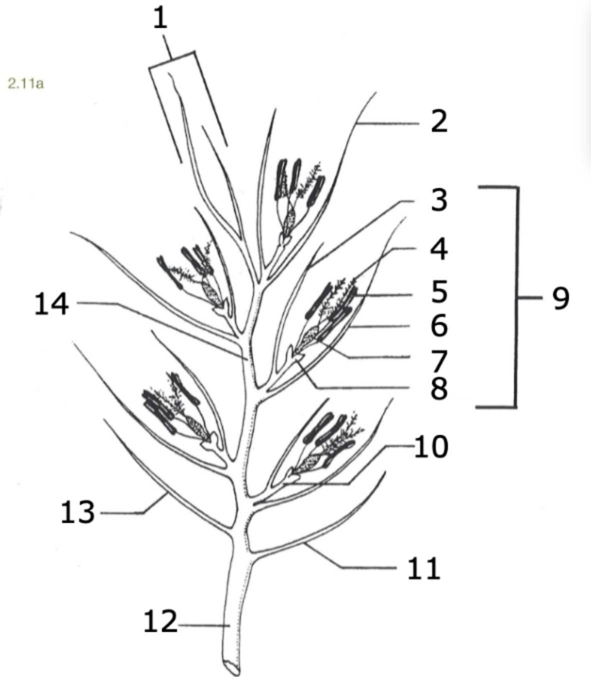 <p>what is 6?</p>