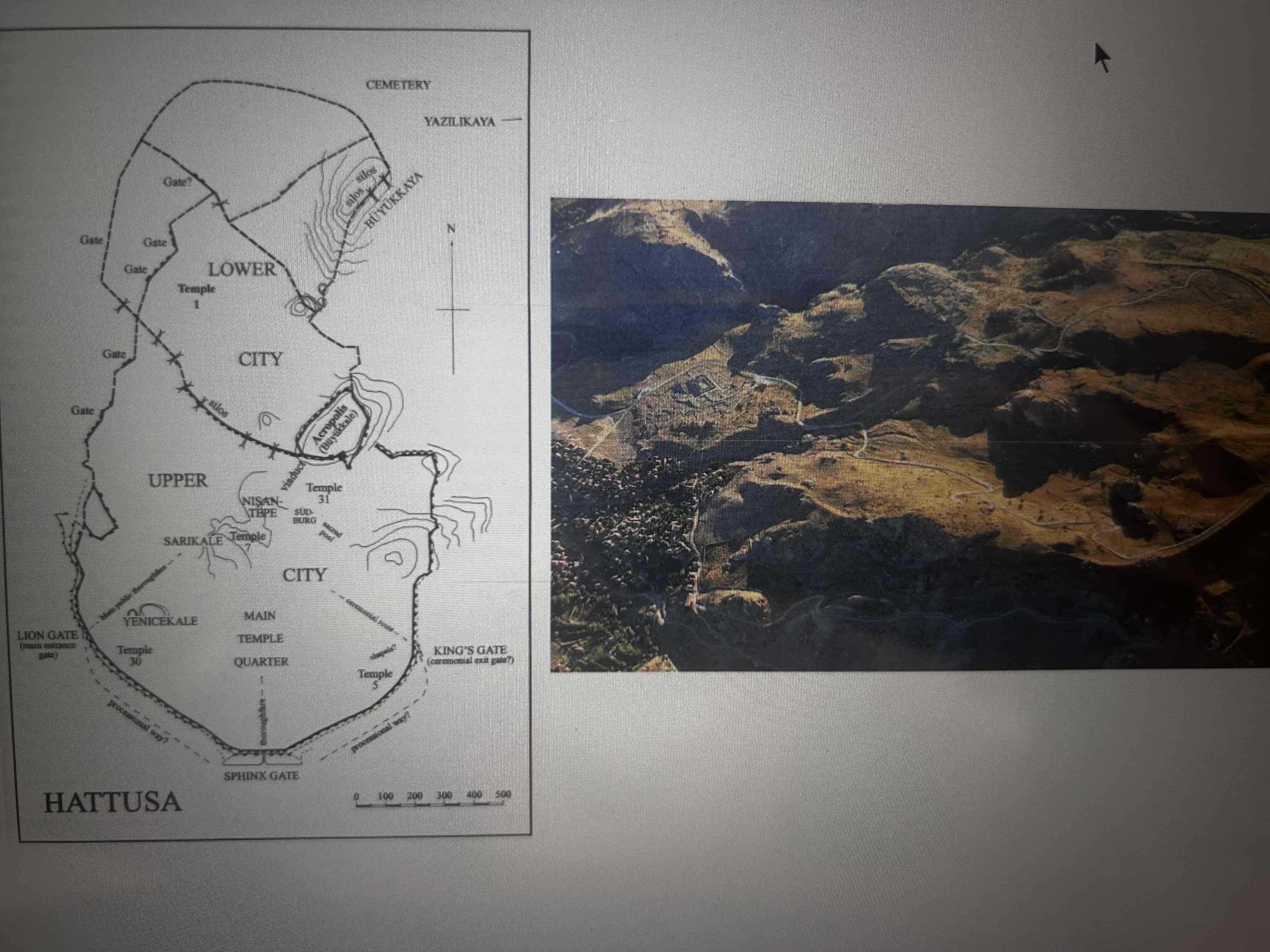 term image