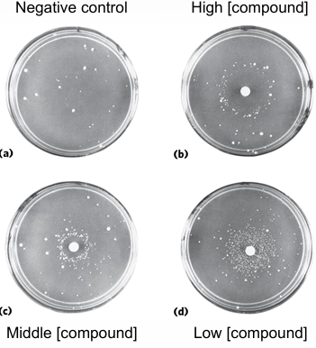 <p>determines if compound is a mutagen, </p><p>uses salmonella typhimurium with inactive histidine biosynthetic pathway;</p><p>if a cell grows, it must’ve mutated to allow it to grow in the deadly medium</p>