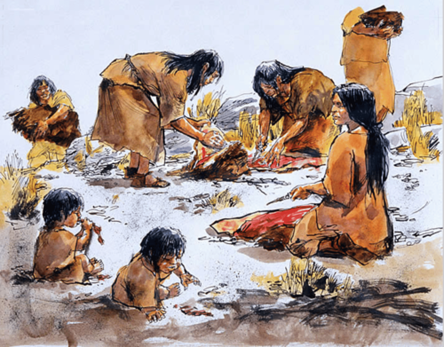<p>THEY helped butcher the game and prepare the Buffalo hides that the men brought back to camp. Children learned their skills they would need as adults.</p>