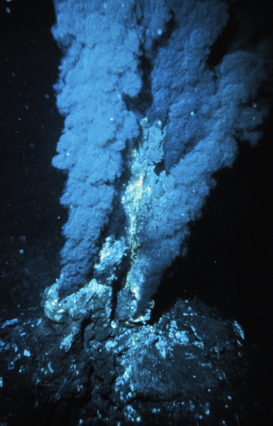 <ul><li><p><span>In the 355 genes most likely belonging to LUCA, some of them are genes that enable life in high-temperature, anaerobic environments. These two features suggest an environment like that found in </span><strong><span>deep sea hydrothermal vents</span></strong><span>. The water around these vents is rich in minerals that can be used in </span><strong><span>chemosynthesis</span></strong><span>–the production of organic molecules using energy released by chemical reactions.</span></p></li></ul>