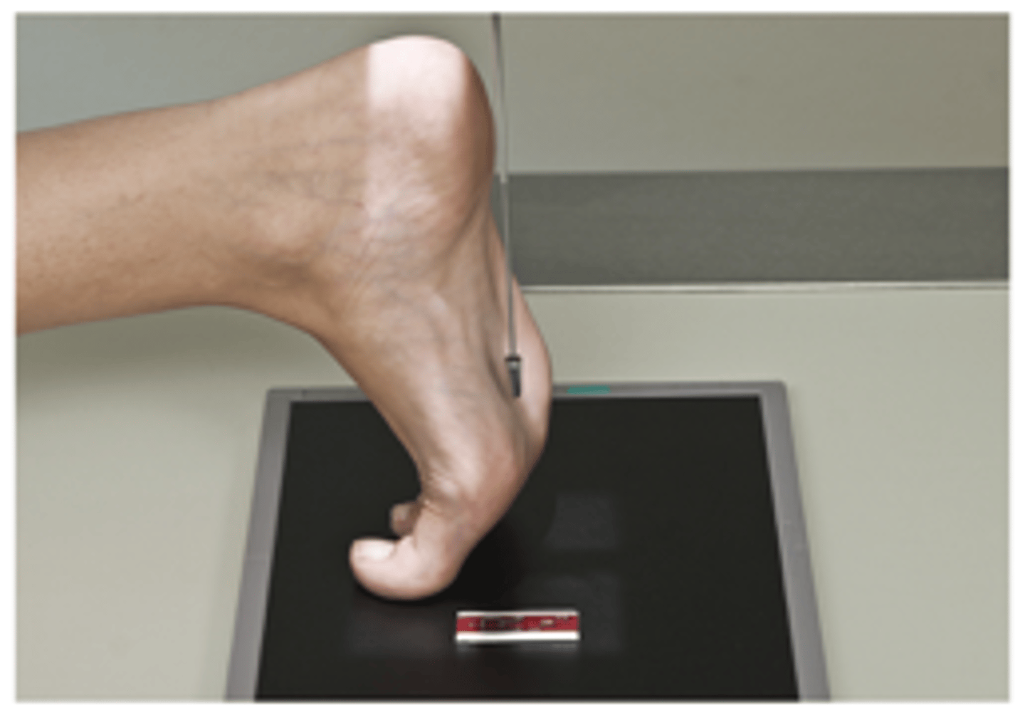 <p>What projection is this?</p>