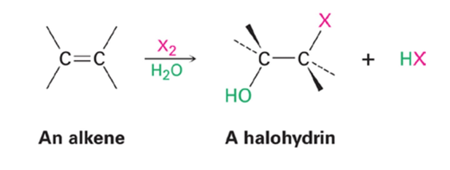 <p>-Addition of X2</p><p>-Reagents: Br2 or Cl2 in H2O</p><p>-Bromonium or chloronium ion intercepted by H2O</p><p>-Markovnikov addition of H2O</p><p>-Anti addition stereochemical preference</p><p>-Z conformation makes SS and RR pair of enantiomers</p><p>mixed reagents:</p><p>RS-Cl = anti addition, stereospecific, makes only two stereoisomers (bridge)</p><p>O=N-Cl = no bridge, makes 4 stereoisomers</p><p>I-Cl = anti addition, stereospecific, makes only two stereoisomers (bridge)</p>