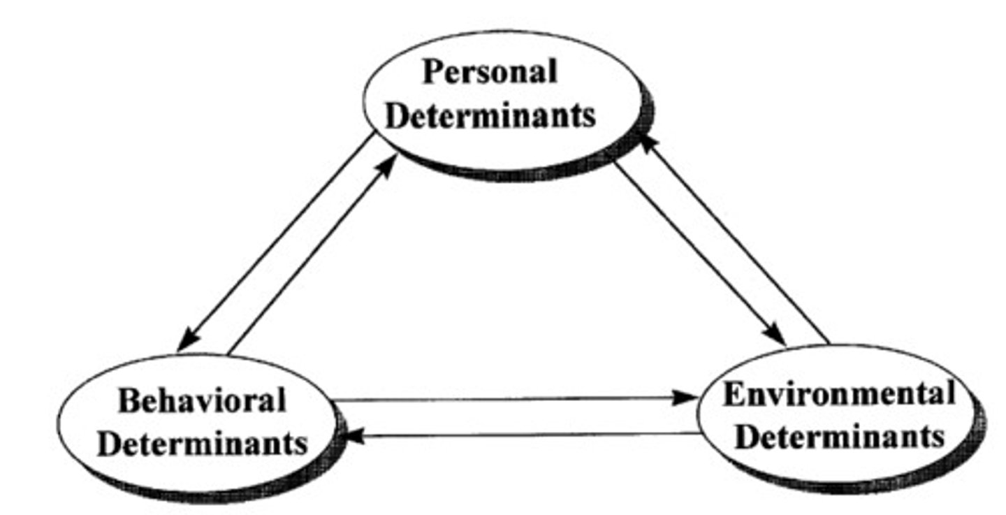 <p>A psychological perspective that suggests people learn behaviors primarily through observing others within their social environment, where their thoughts, behaviors, and environment interact with each other in a dynamic process called "reciprocal determinism".</p>