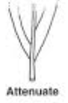<p>base</p>