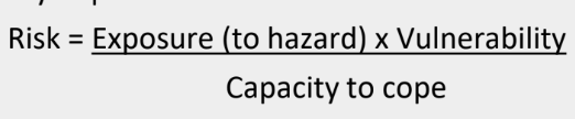 <p><strong>OTHER TERMS:</strong></p><p><strong>method to determine the nature and extent of risk</strong> by analyzing potential hazards and evaluating existing conditions of vulnerability that could pose a potential threat or harm to people, property, livelihood and the environment on which they depend</p>