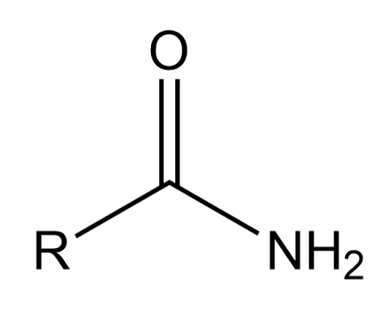 <p>Ex: methyl amide</p>