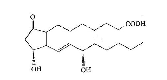 <p>what is this structure</p>