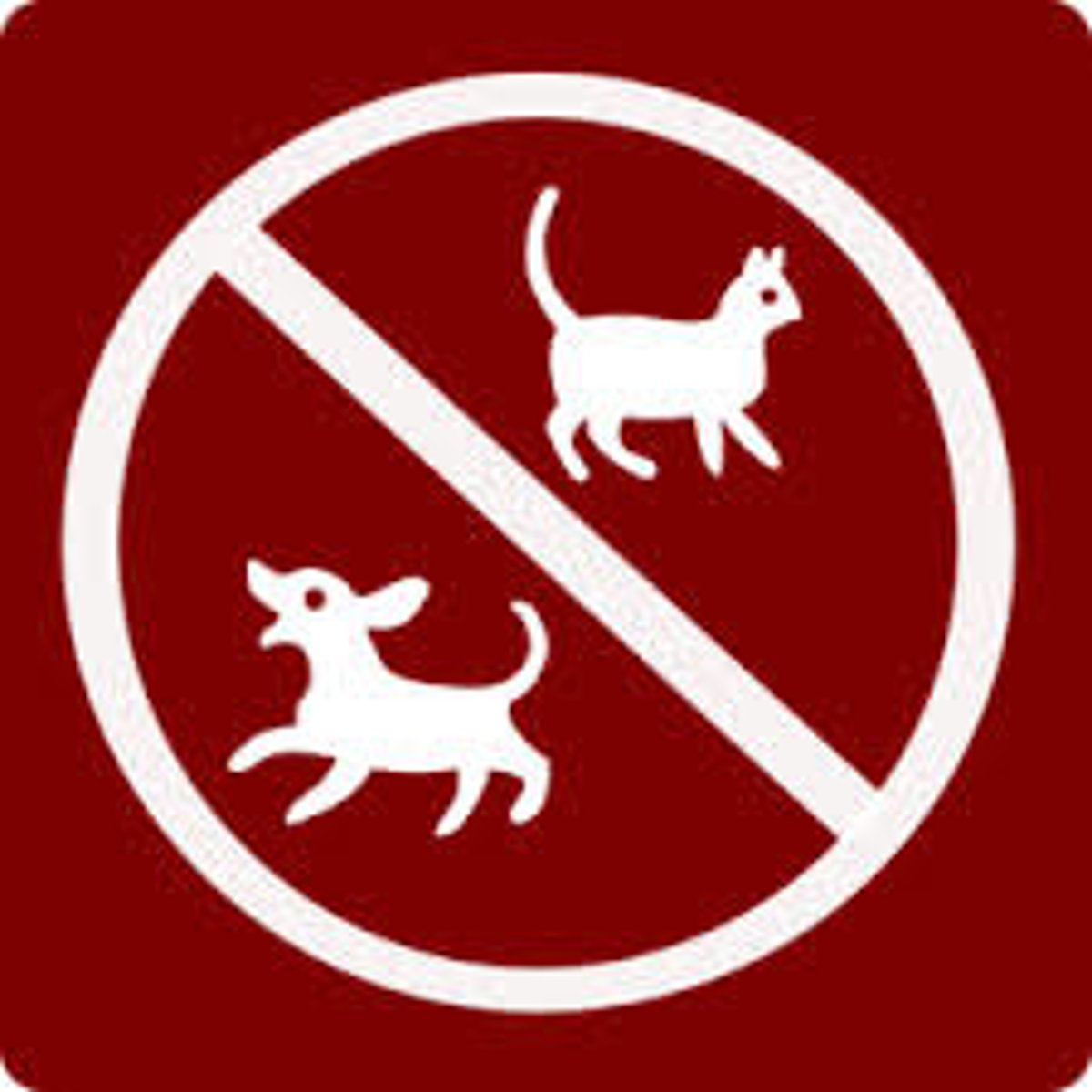 <p>We don't allow ___ dogs or cats.</p>