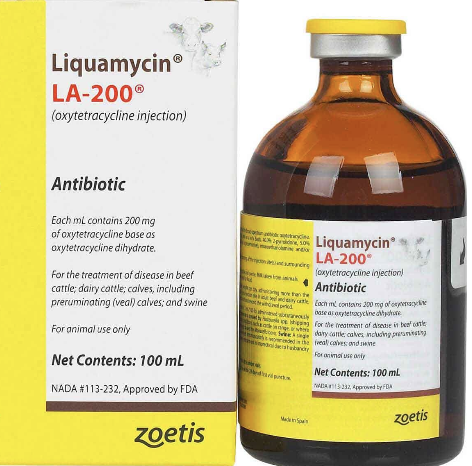 <p>spontaneous recovery is possible in 2-3 weeks if no complications</p><p>treatment of choice: tetracyclines to shorten clinical course + supportive care (oxytetracycline OR doxycycline, NSAIDS, IV fluids)</p>