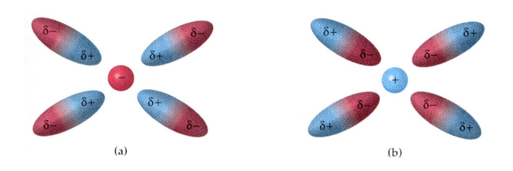 <ul><li><p>Occur when dipoles align around an ion.</p></li><li><p>These are typically&nbsp;<strong>quite strong interactions</strong>.</p></li><li><p>They are very important for the&nbsp;<strong>solubility of salts</strong>.</p><ul><li><p>Salts exhibit high solubility in polar solvents like water, but are insoluble in non-polar solvents like hexane.</p></li><li><p>Salt in Water: Hydration shells form around ions in water due to these interactions. The partial negative charge of a dipole aligns with a positive ion, and the partial positive charge aligns with a negative ion to create an attractive force</p></li></ul></li></ul><p></p><img src="https://knowt-user-attachments.s3.amazonaws.com/d86fec76-da2a-48bd-98eb-f8b304c047ce.png" data-width="100%" data-align="center"><p></p>