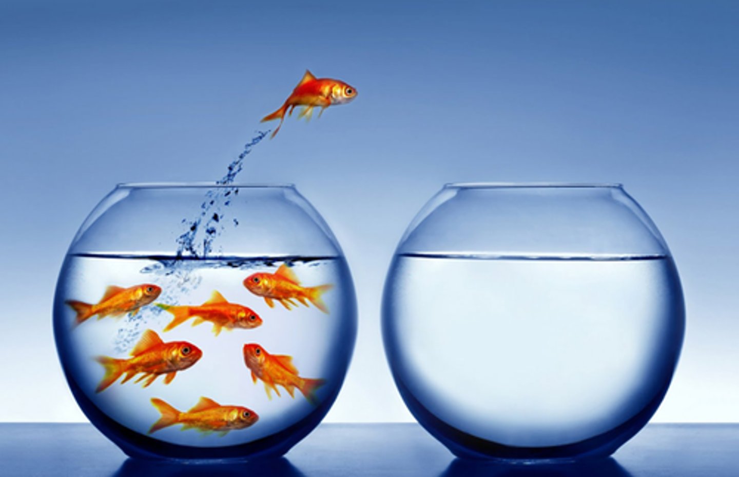 <p>not influenced or controlled by others</p><p>/độc lập, tự chủ/</p><p>= autonomous /tự trị/, self-reliant /tự lực/</p><p>&gt;&lt; dependent /phụ thuộc/, reliant /tin tưởng vào người khác/</p>