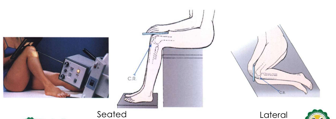 <p>PATELLA AND</p><p>PATELLOFEMORAL</p><p>JOINT</p>