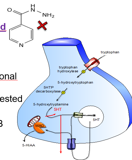 <ul><li><p><strong>MAO-A</strong>: prefers <strong>serotonin (5-HT)</strong></p></li><li><p><strong>MAO-B</strong>: prefers <strong>dopamine (DA)</strong></p></li></ul><p></p>