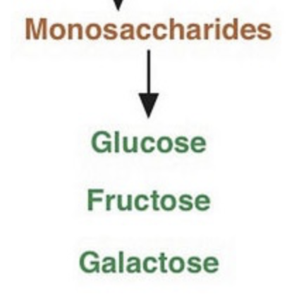 <p>glucose, fructose and galactose</p>