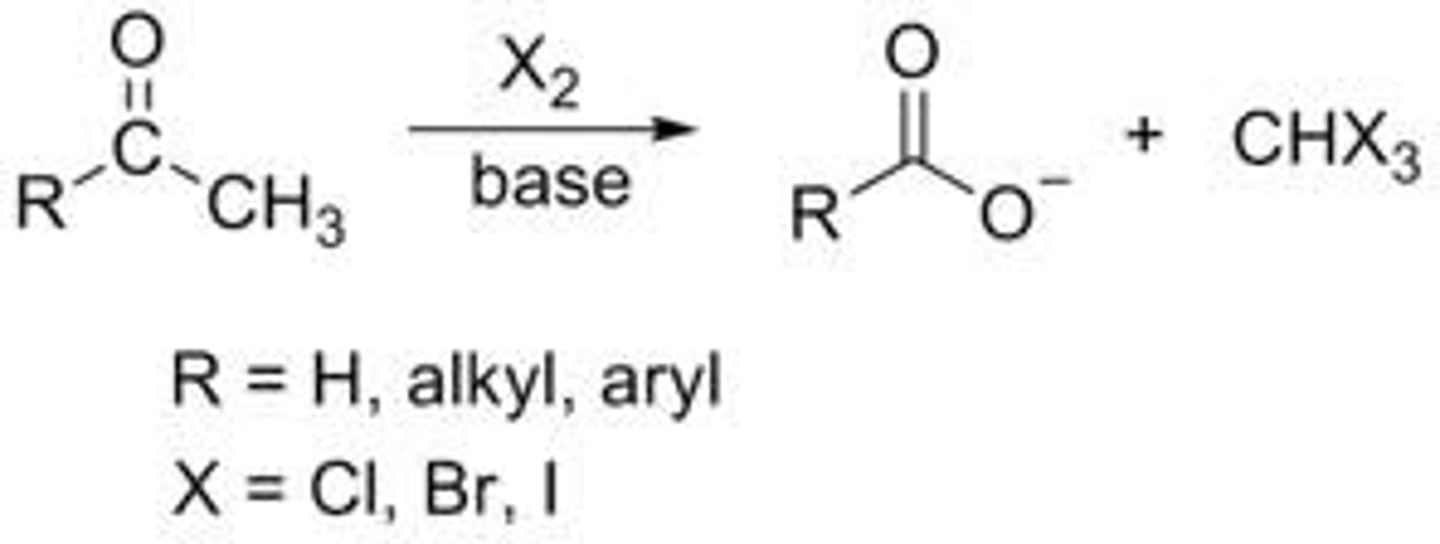 <p>alpha halogenation in basic conditions of ketones</p>