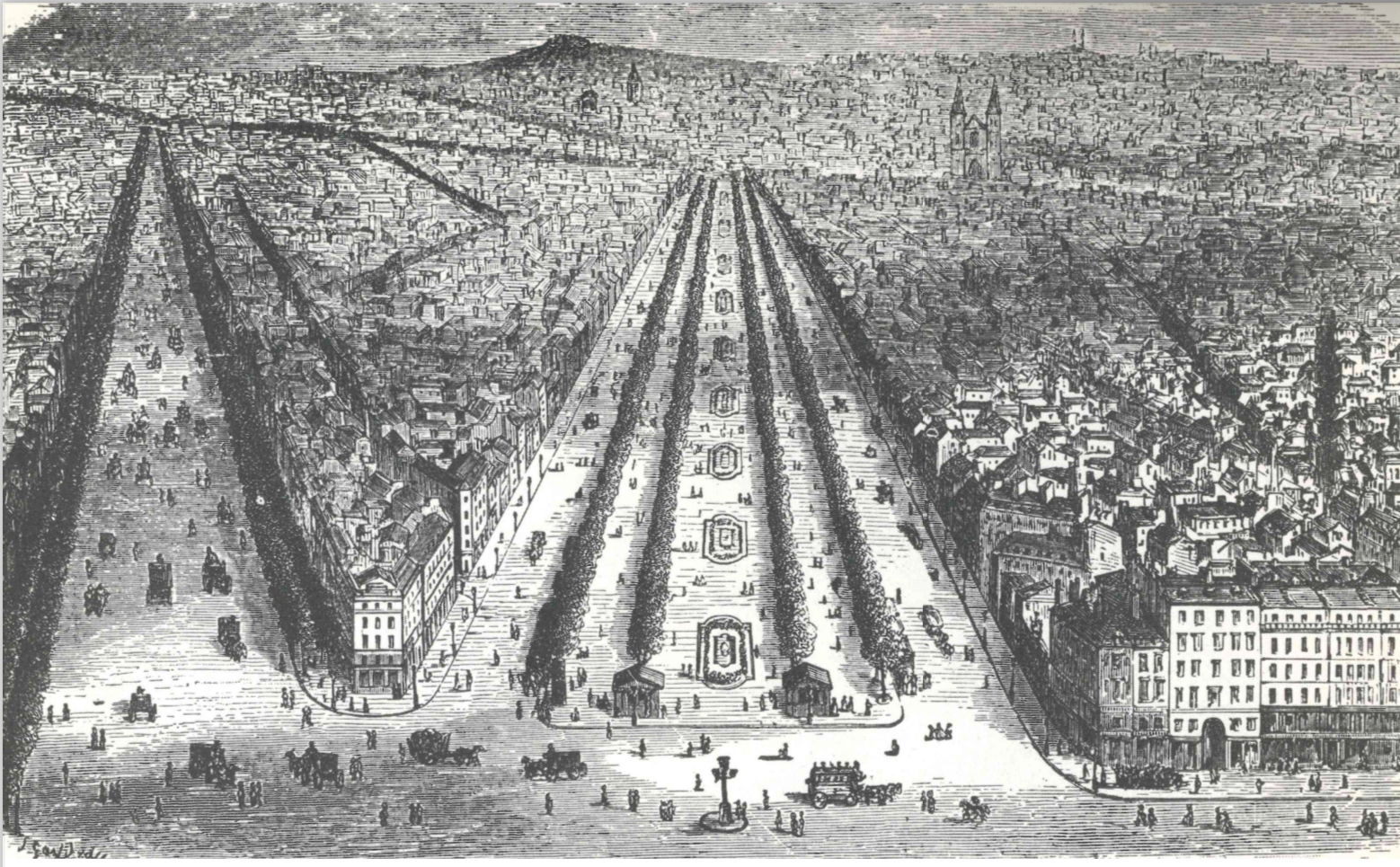 term image