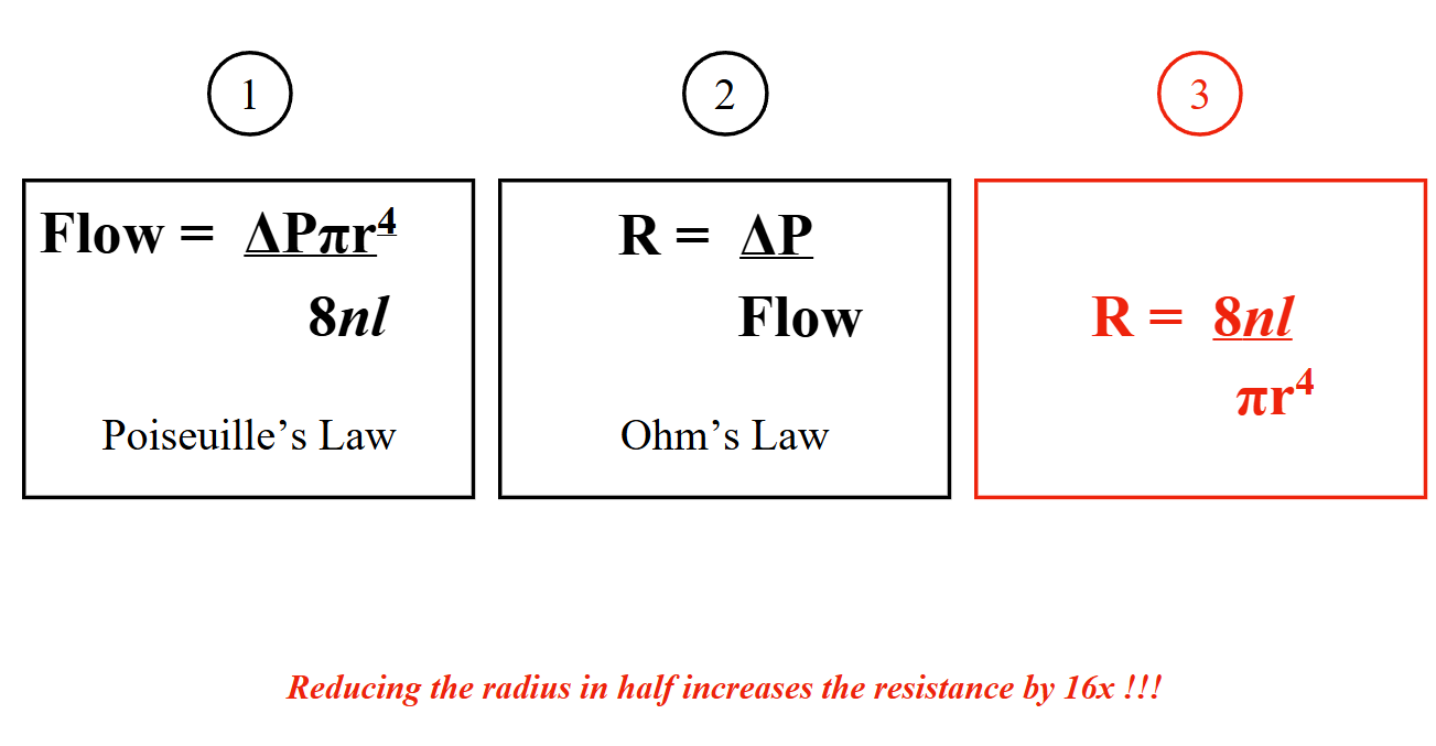 <p>R = 8nl/pir^4</p><p></p><p>Reducing the radius in half increases resistance by 16x</p><p></p><p>Putting both laws together gives:</p><p>So resistance increases when:</p><ul><li><p>The airway gets <strong>narrower (smaller r)</strong></p></li><li><p>The airway gets <strong>longer (l)</strong></p></li><li><p>The air gets <strong>thicker (Ī·)</strong></p></li></ul><p></p><p>If you <strong>cut the radius in half</strong>, resistance goes up by <strong>16 times!</strong><br>Thatās because <span>(1/2)4=1/16(1/2)^4 = 1/16(1/2)4=1/16</span>.</p><p>So in asthma, for example, when bronchioles tighten and get smaller, airflow drops <strong>dramatically</strong> ā not just a little.</p><p></p>