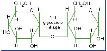 <p>What macromolecule is this?</p>