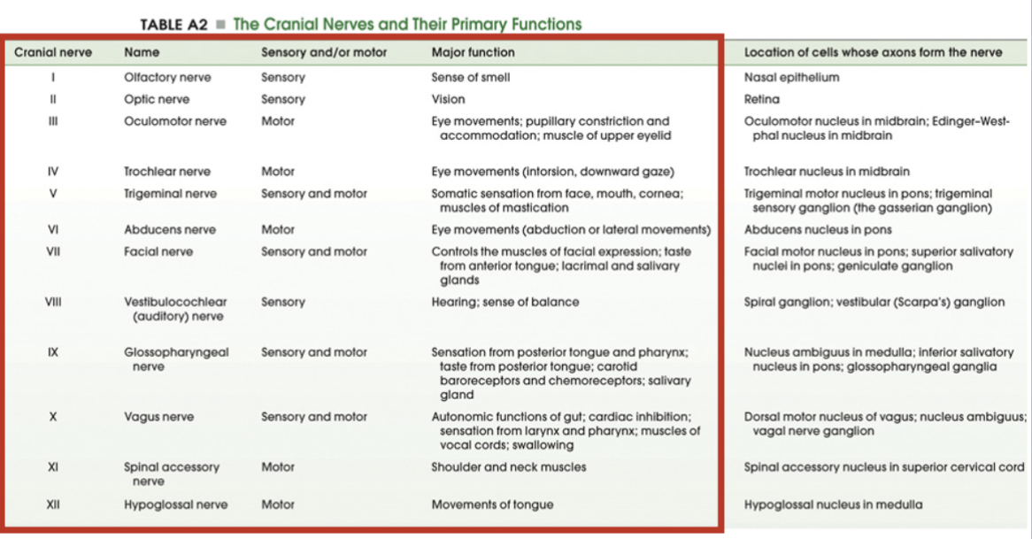 <p>don’t need to know the sensory/andor motor</p><p>know the red box</p>