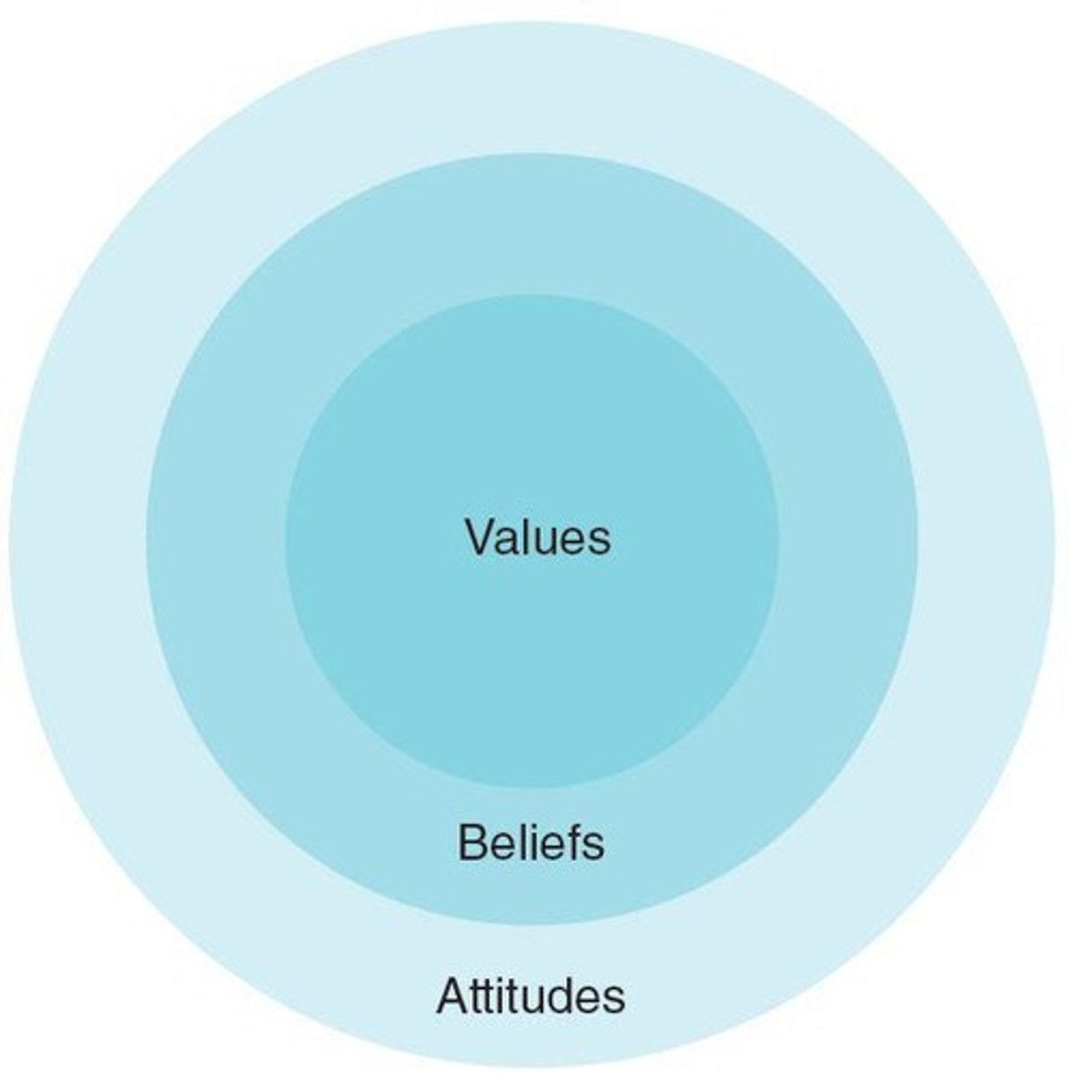 <p>Understanding demographics, attitudes, beliefs, and values.</p>