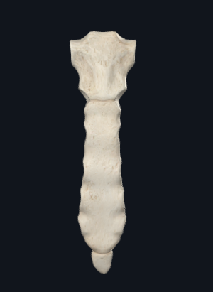 <p>What is this?</p>