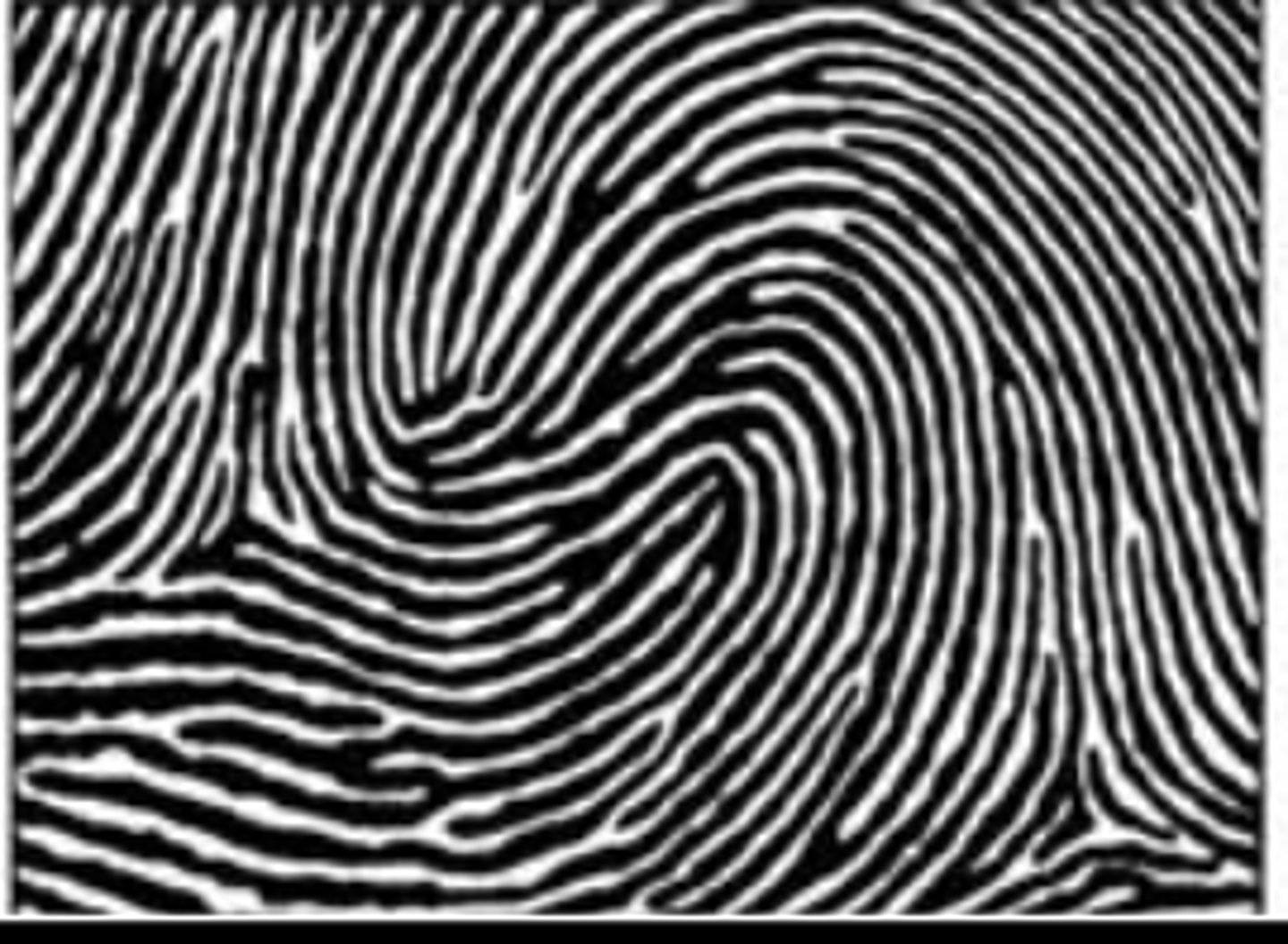 <p>two opposing loops side by side</p>