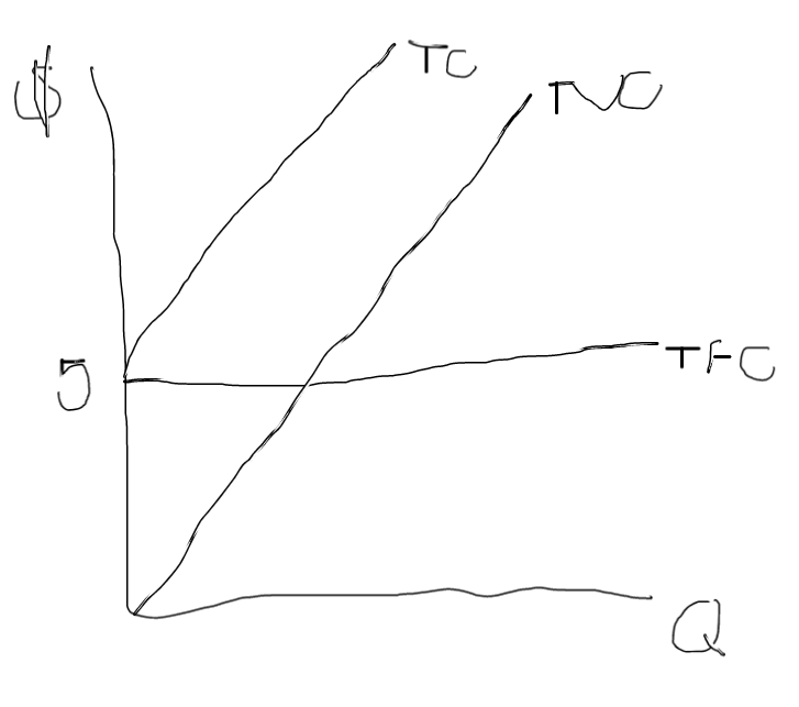 <p>TVC and TC have to be parallel because they’re the same distance in between them</p>