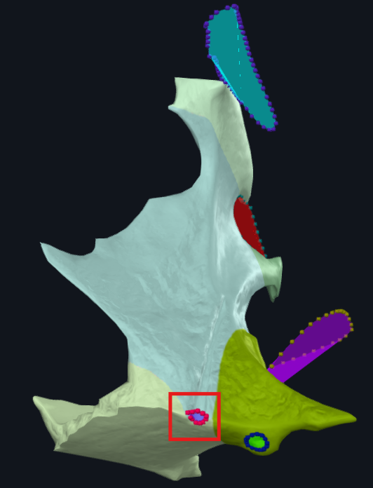 term image