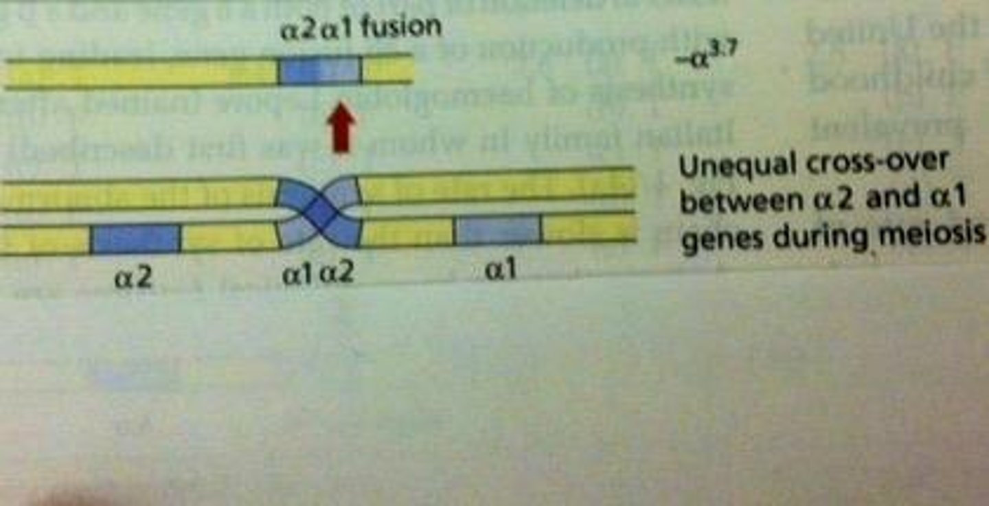 <p>It is caused by unequal crossover between chromosomes at meiosis.</p>