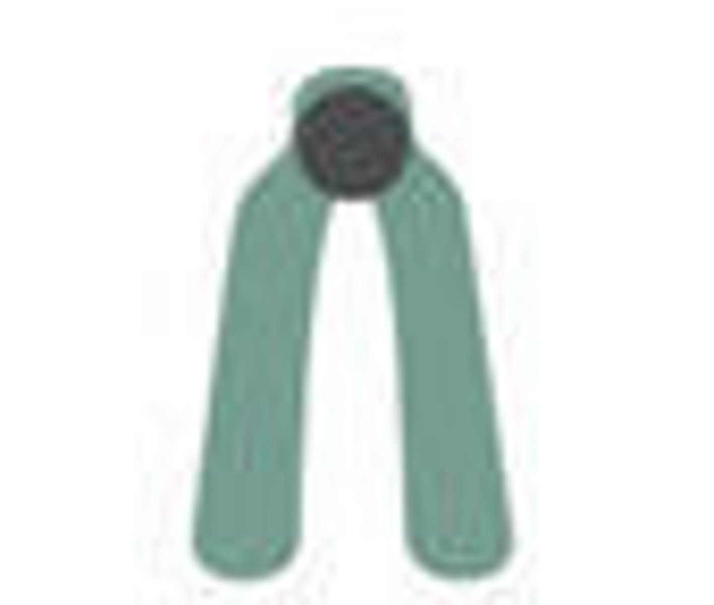 <p>centromere at end</p>