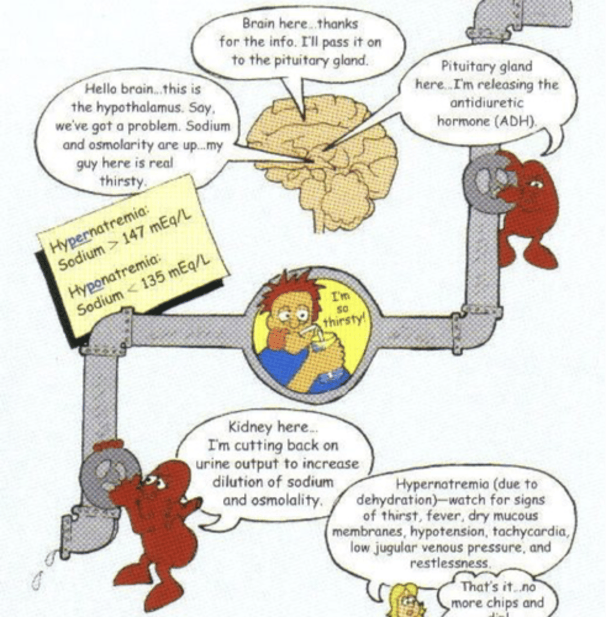 knowt flashcard image