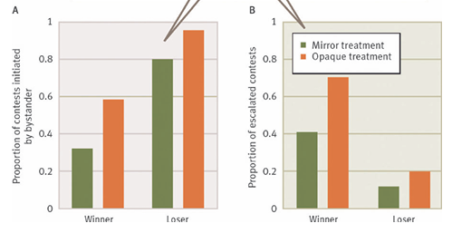 <p>What’s the main message?</p>