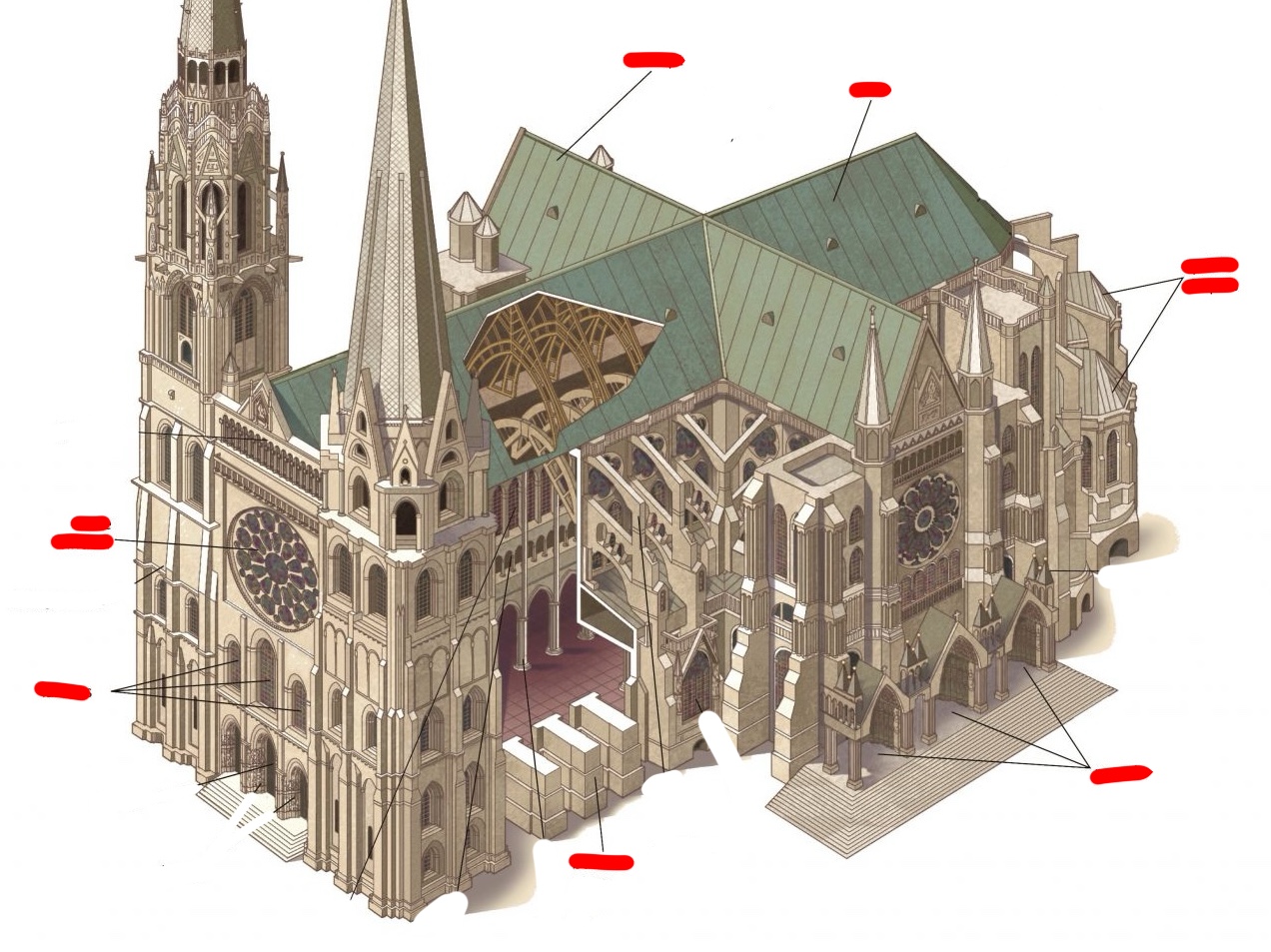 term image