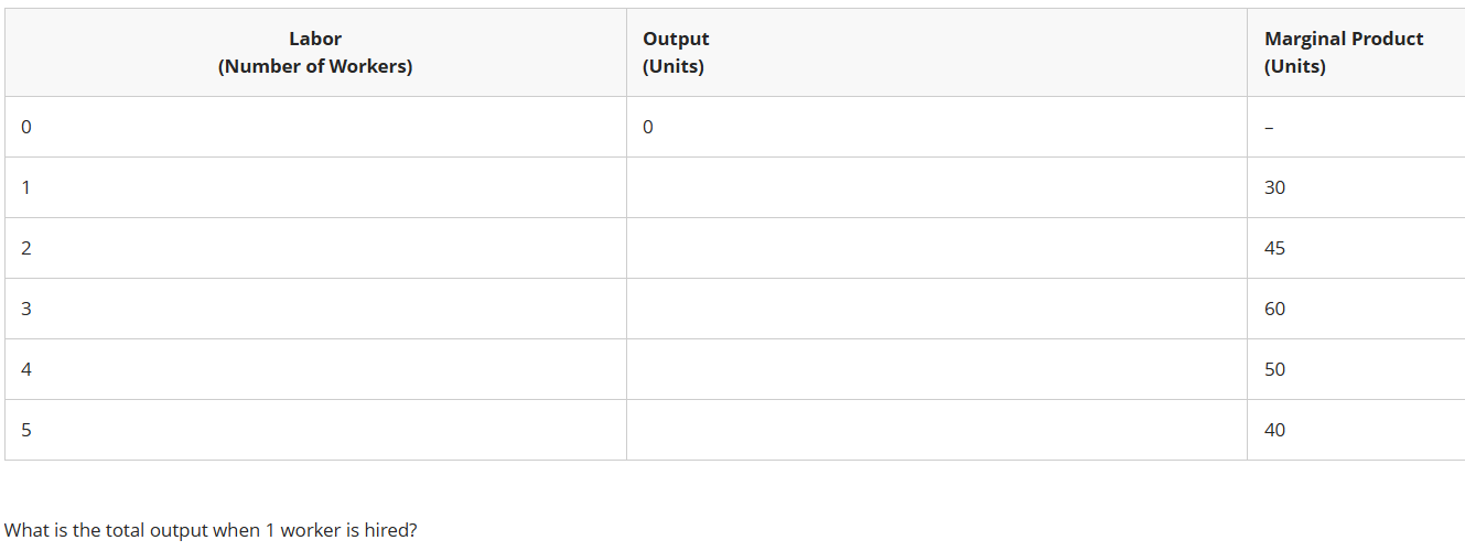 <p><br>What is the total output when 1 worker is hired?</p>