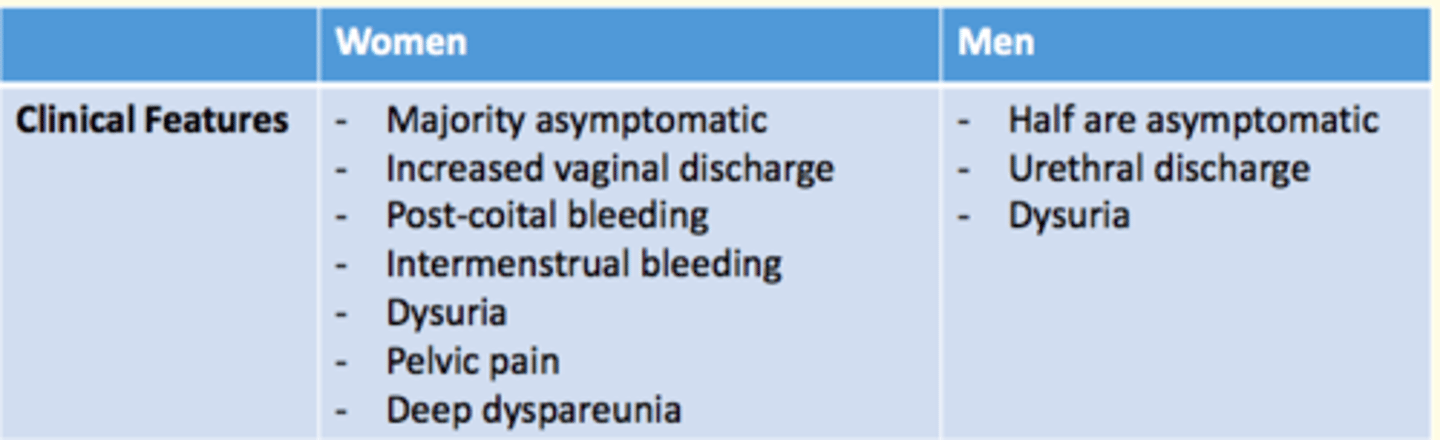 <p>Women</p><p>- Mainly asymptomatic</p><p>- Increased vaginal discharge</p><p>- Post-coital bleeding</p><p>- Intermenstrual bleeding</p><p>- Dysuria</p><p>- Pelvic pain</p><p>- Deep dyspareunia </p><p>Men</p><p>- Half are asymptomatic</p><p>- Urethral discharge</p><p>- Dysuria </p>