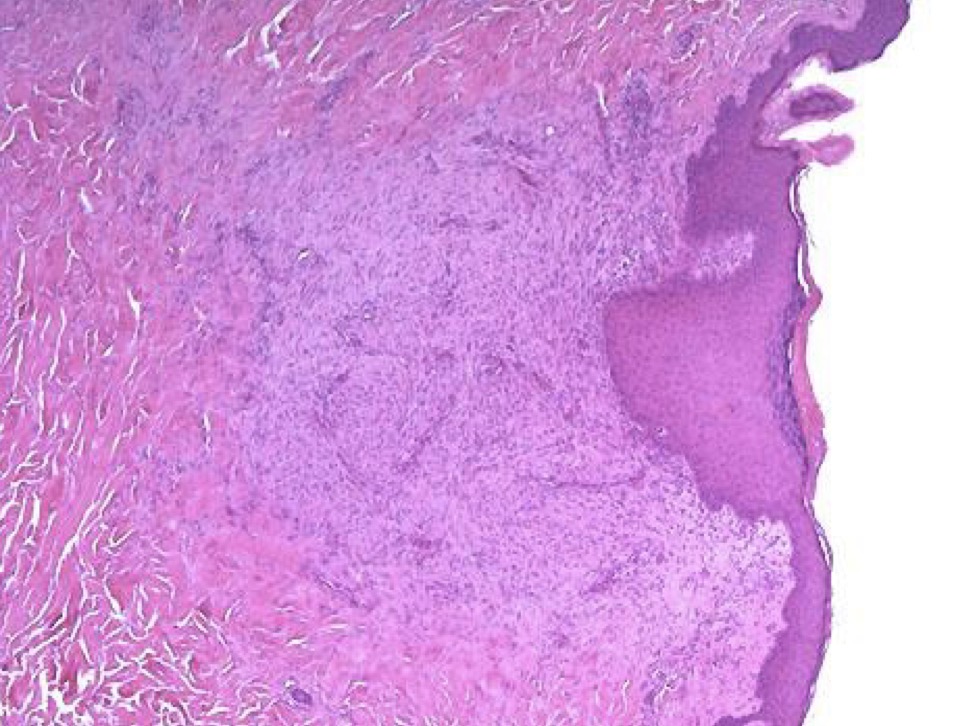 <p>A- identify</p><p>B- describe</p>