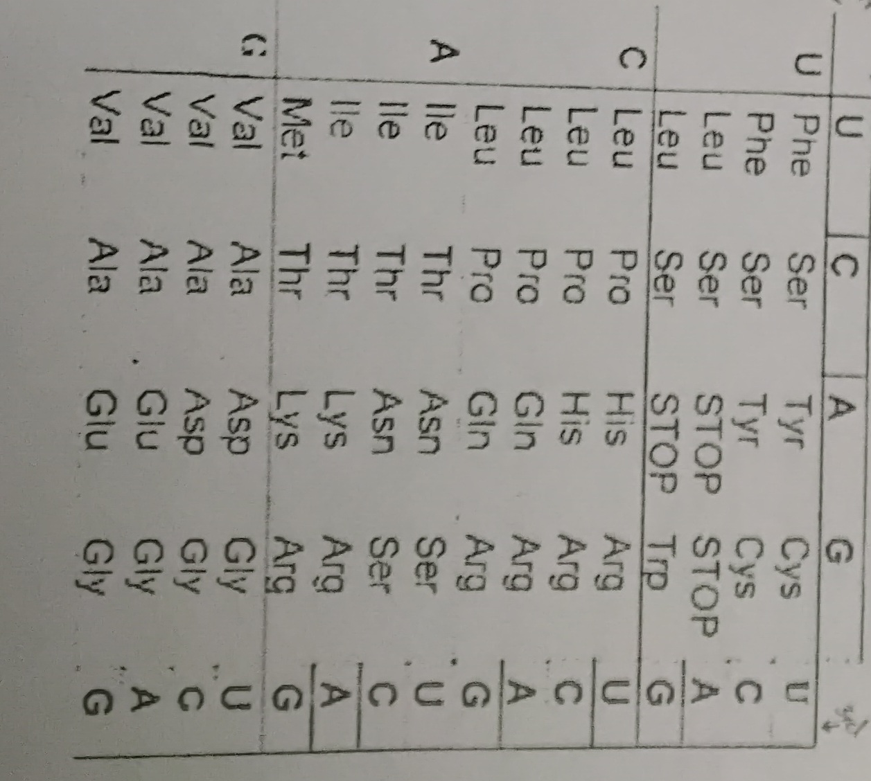 <p>Met, His, tyr, Pro, Asn, Tyr, Leu, Asp</p>