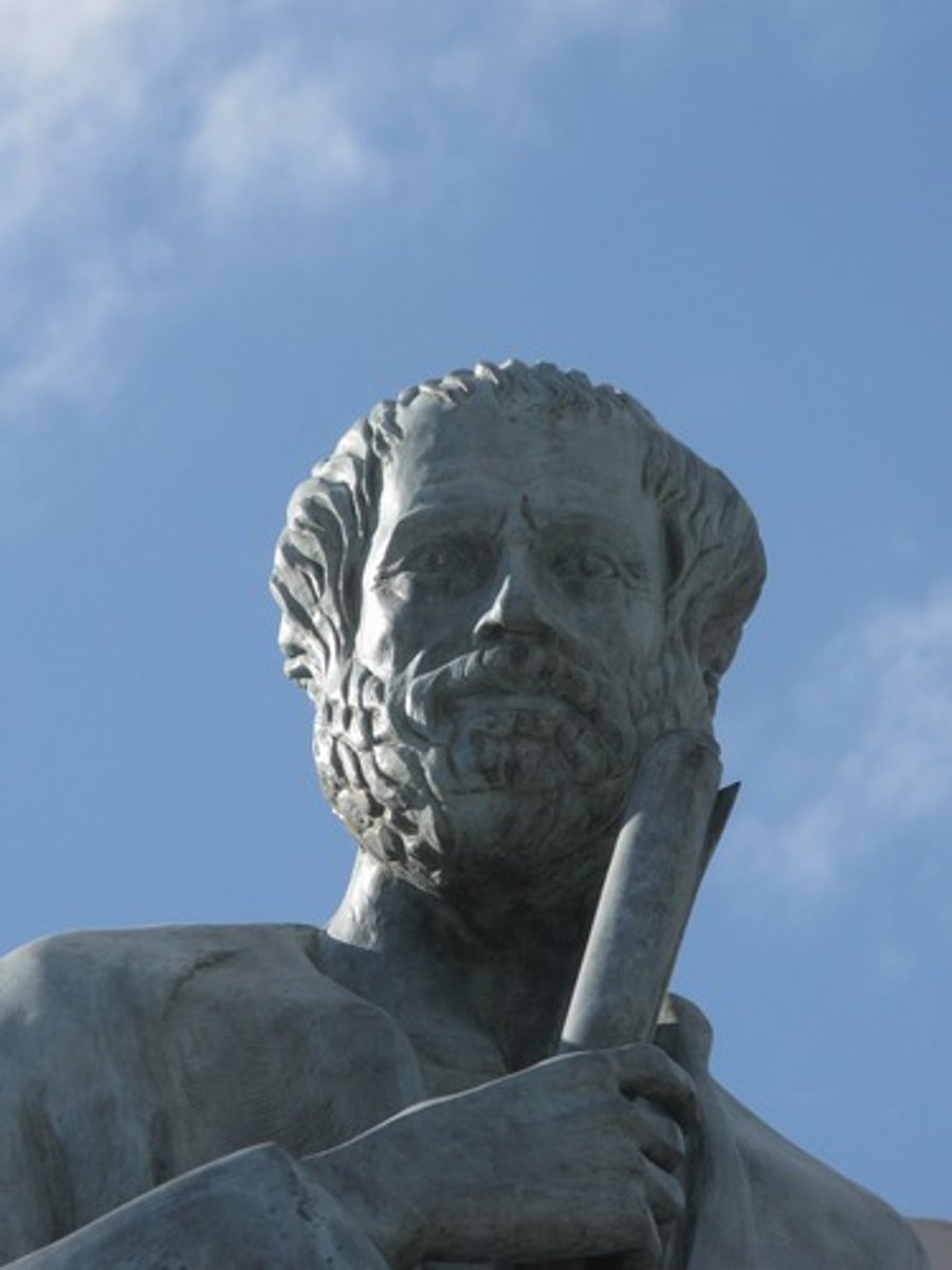 <p>Student of Plato, disagreed with Plato and Socrates, he believed that knowledge was NOT innate and instead grows from experience.</p>