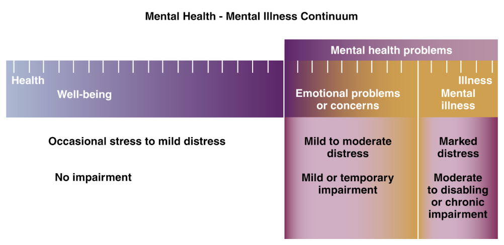 <p>Mental illness</p>
