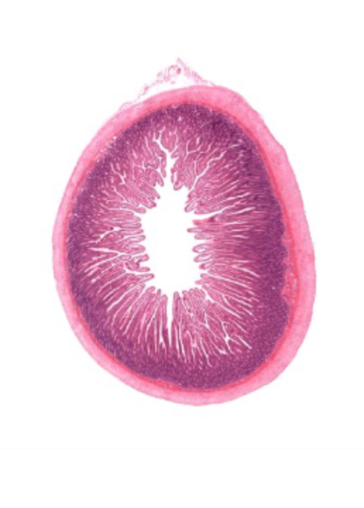 <p>What is this?</p>