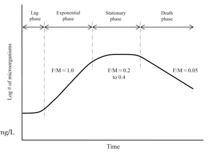 <p>lag phase</p><p>exponential phase - F/M = 1</p><p>stationary phase - 0.2 < F/M < 0.4</p><p>death phase - F/M = 0.05</p>