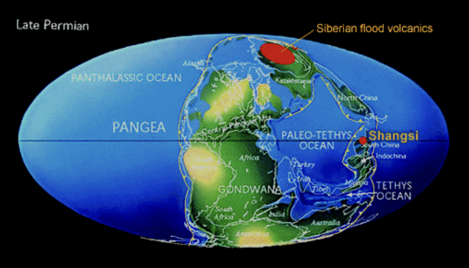 <p>Pangea. there was a loss of habitat due to lesser amounts of shallow seas and global deserts in continental interiors. </p>