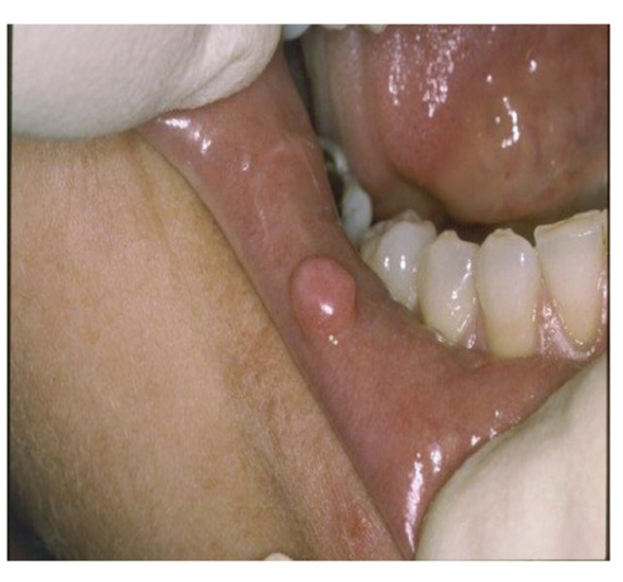 <p>What is this?</p>